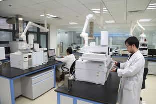 科技引領，服務賦能 以創新技術打響“上海制造”品牌，驅動集團高質量發展